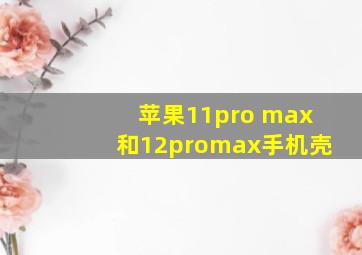 苹果11pro max和12promax手机壳